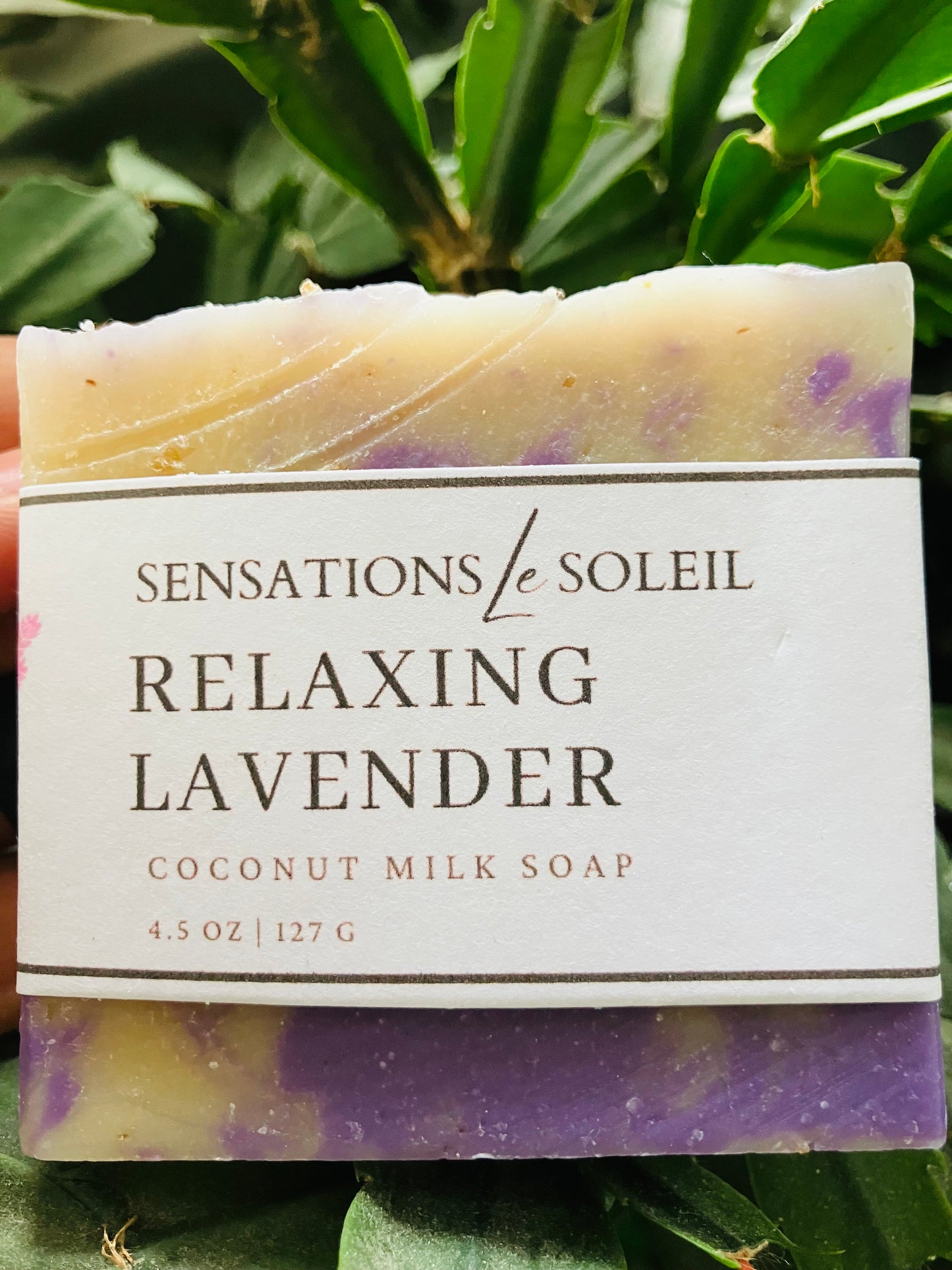 Lavender Goats Milk Soap