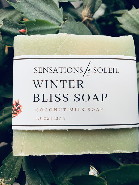 Winter Bliss Soap